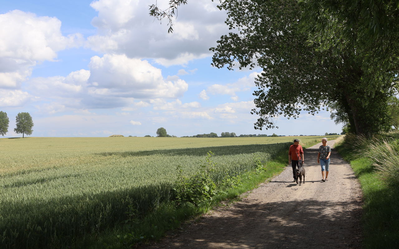 To personer på gåtur med hund nær Skamby på Nordfyn.