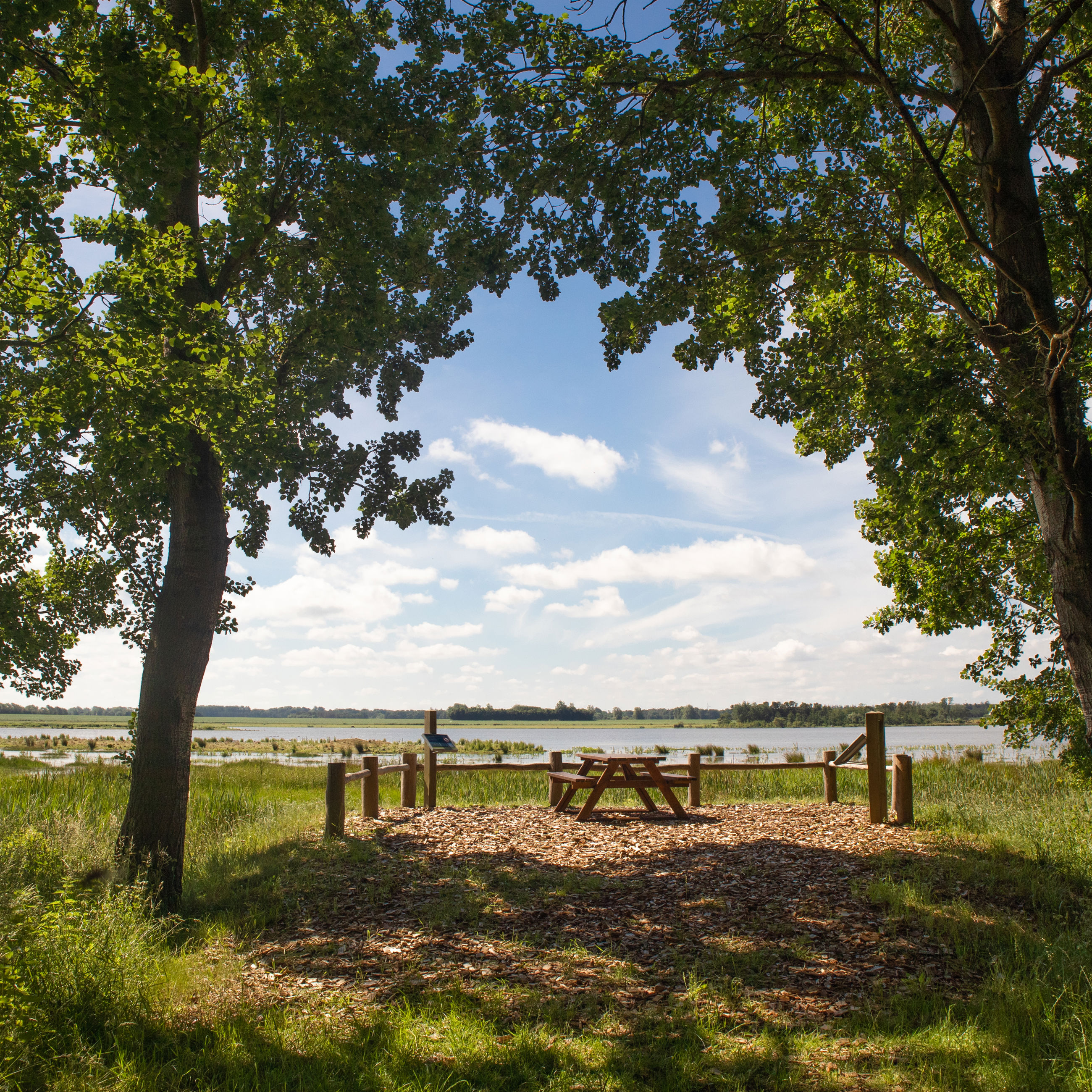 Billede af naturområdet ved Gyldensteen Strand