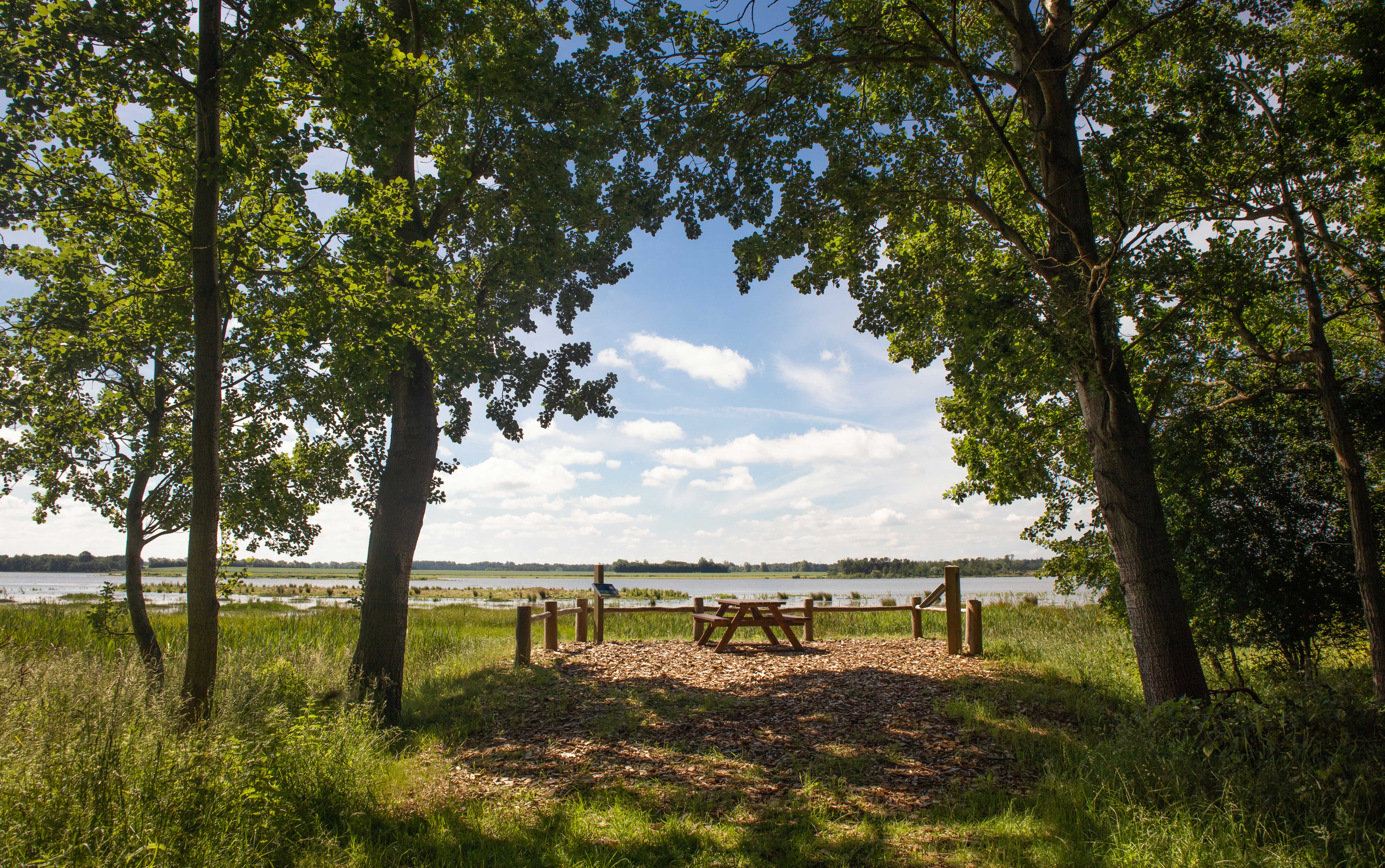 Billede af naturområdet ved Gyldensteen Strand
