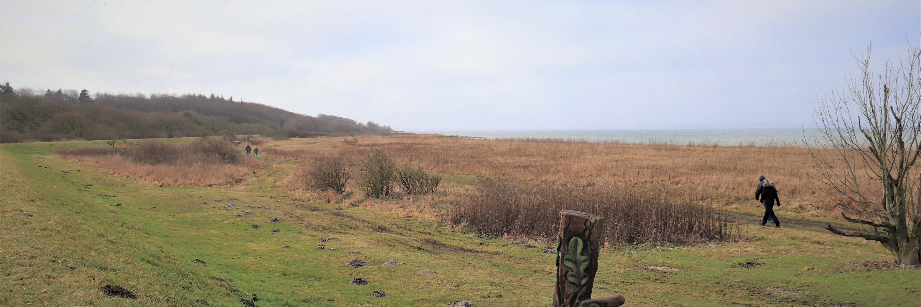 Naturområde ved Skåstrup