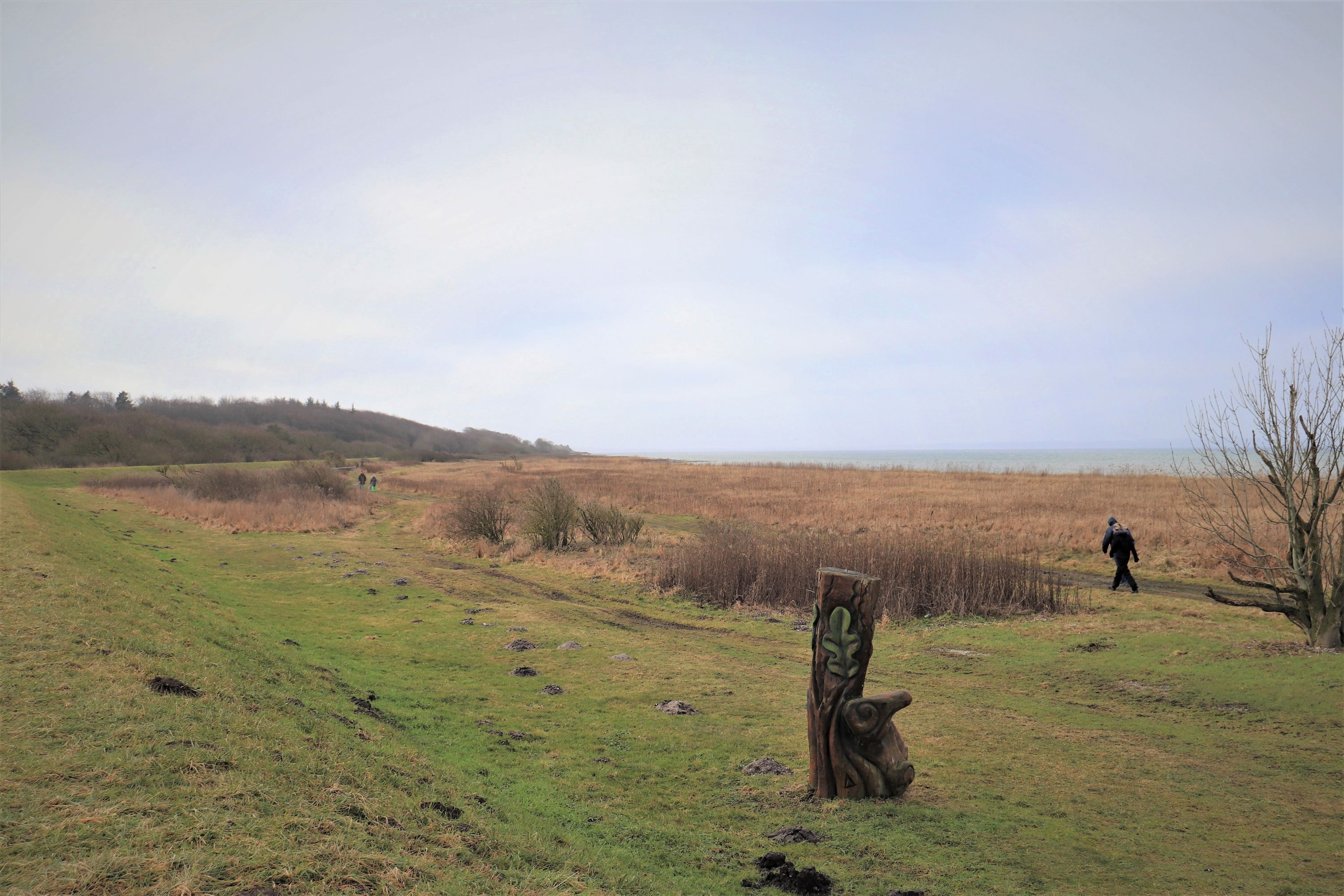 Naturområde ved Skåstrup