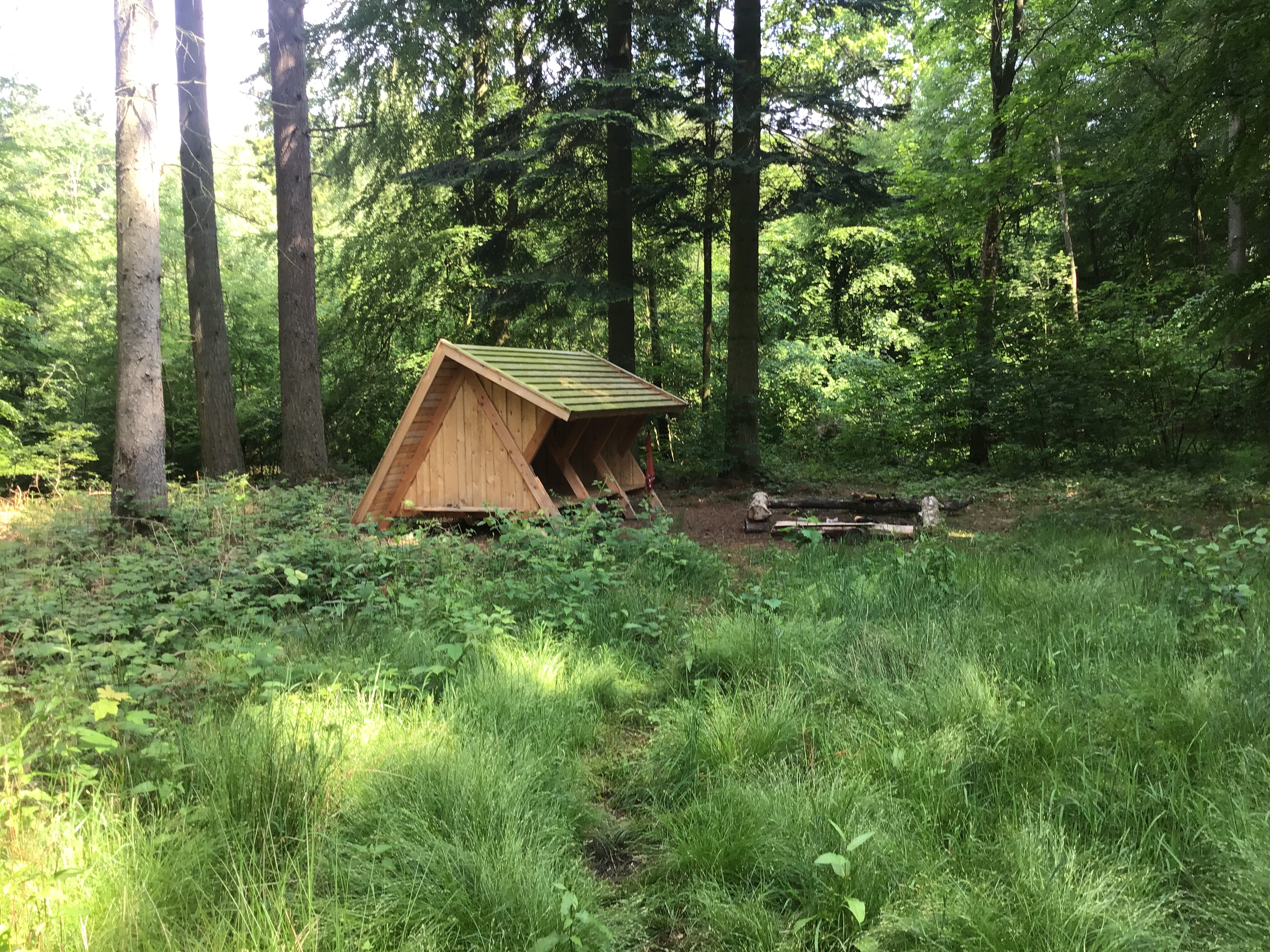 Shelterplads i lysningen ved Ravnebakke Skov