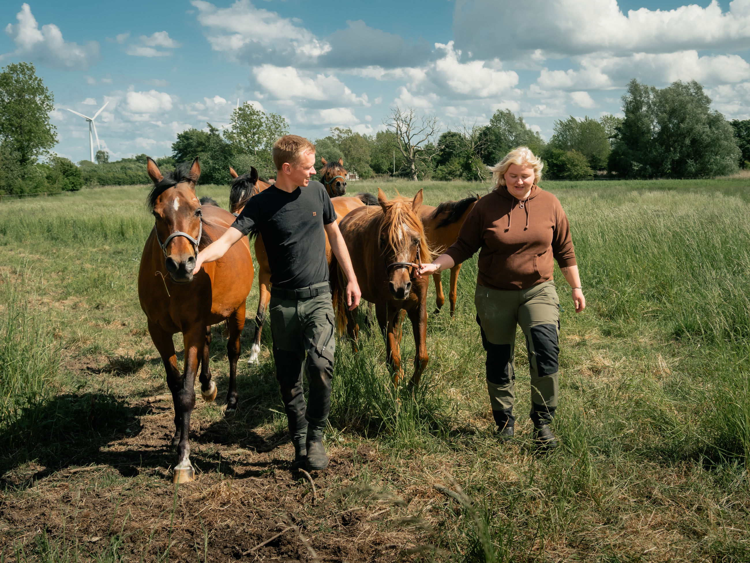 Billede af par fra Uggerslev, der trækker deres heste i fold.