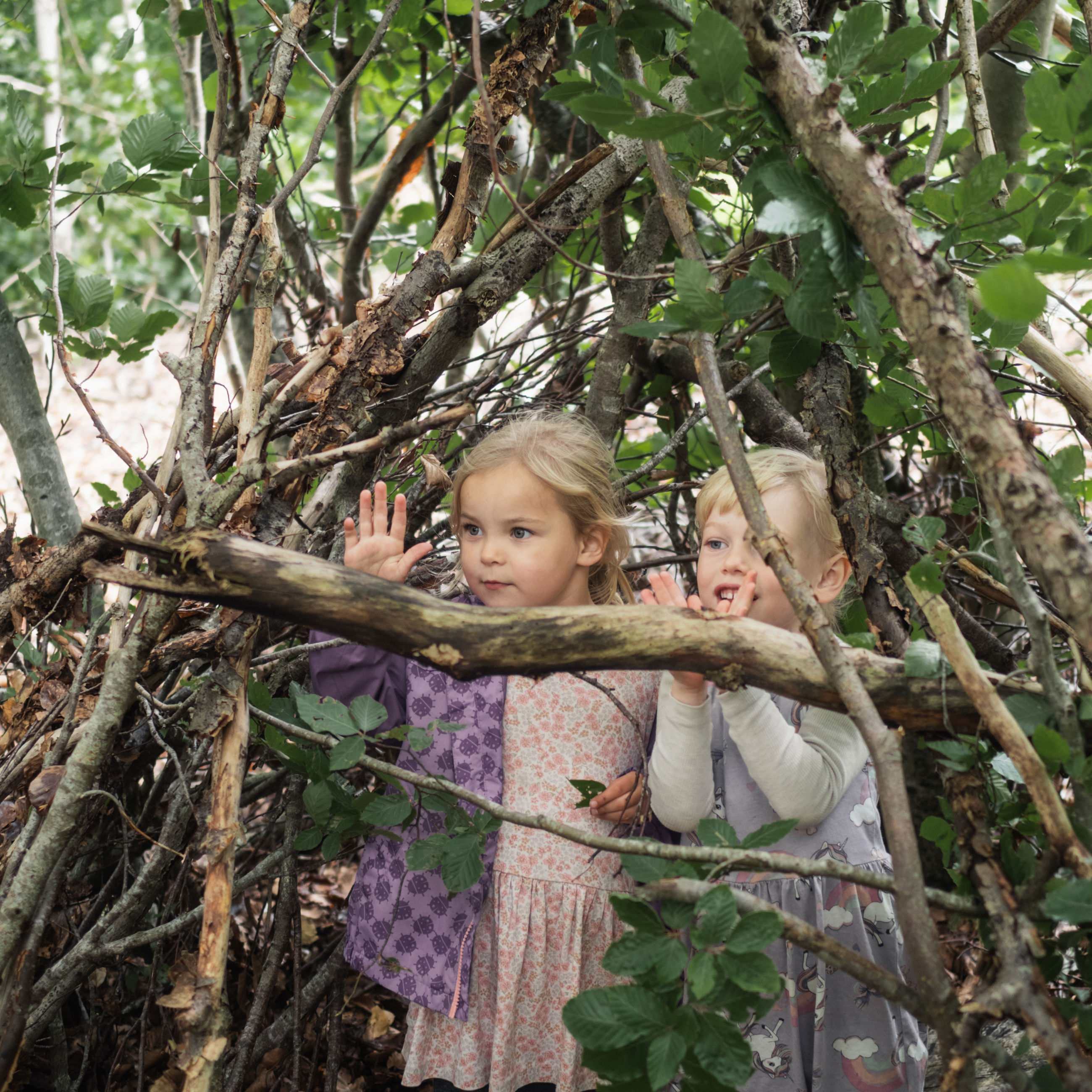 To små piger, der bygger hule i en skov.