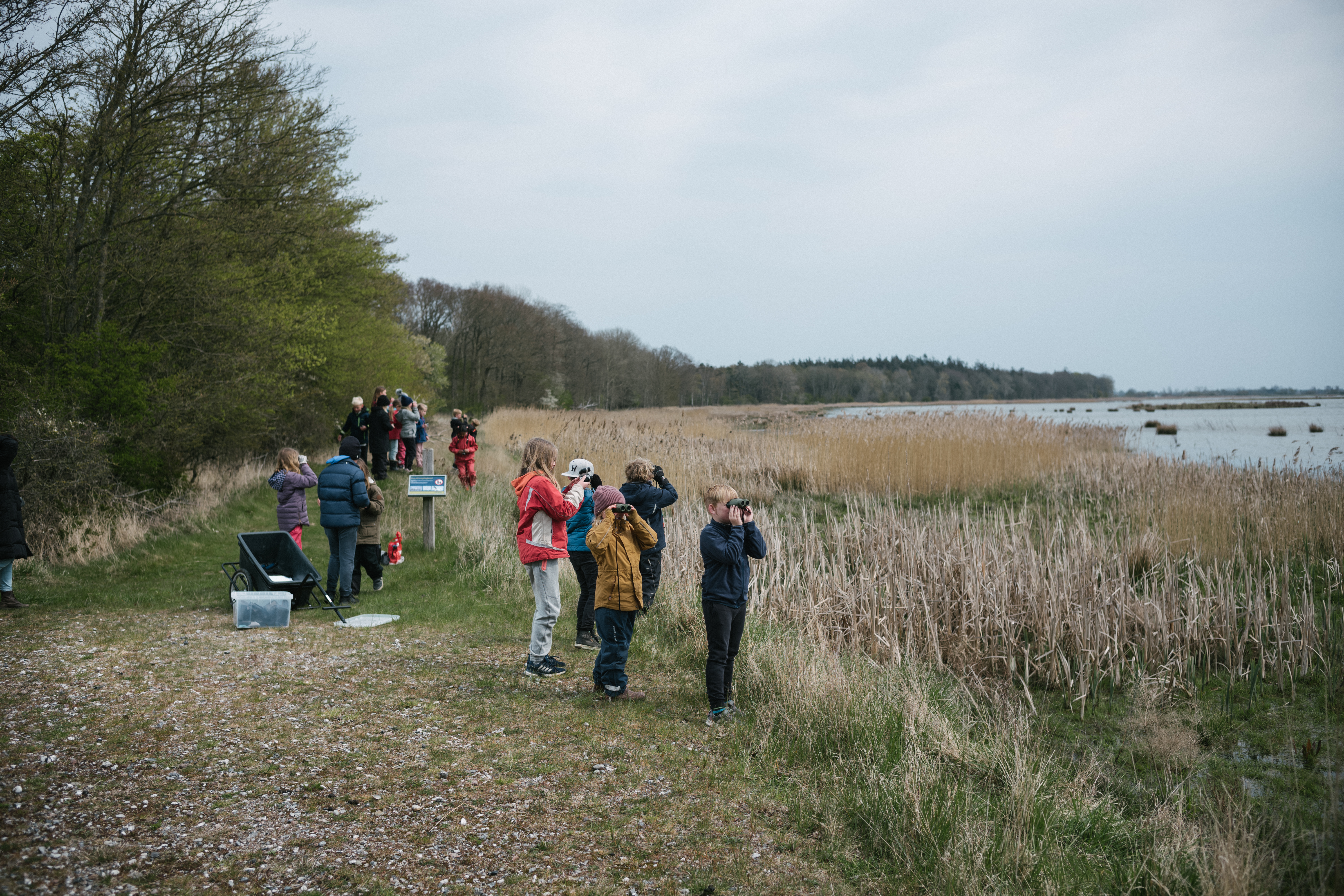 Skoleklasse på udflugt ved naturområdet Gyldensteen Strand.
