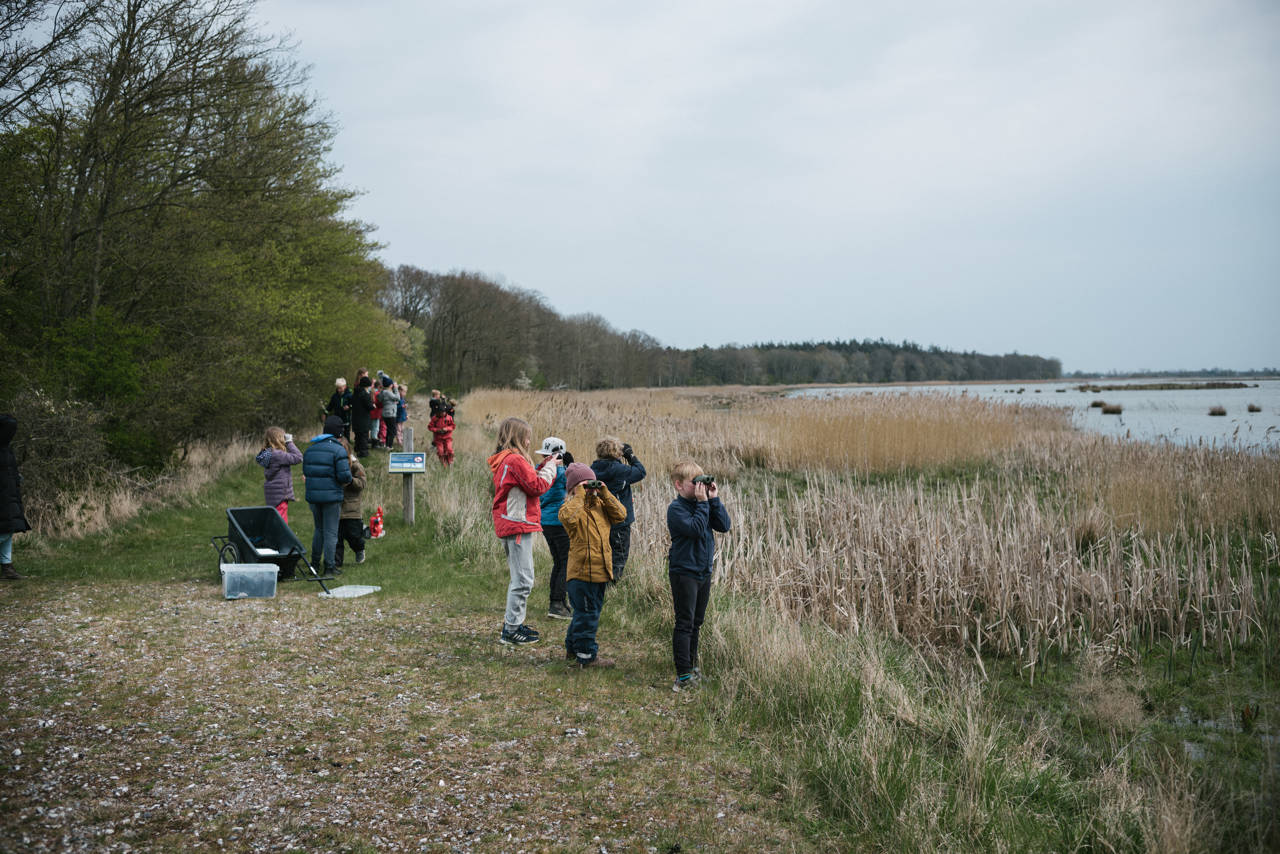 Skoleklasse på udflugt ved naturområdet Gyldensteen Strand.