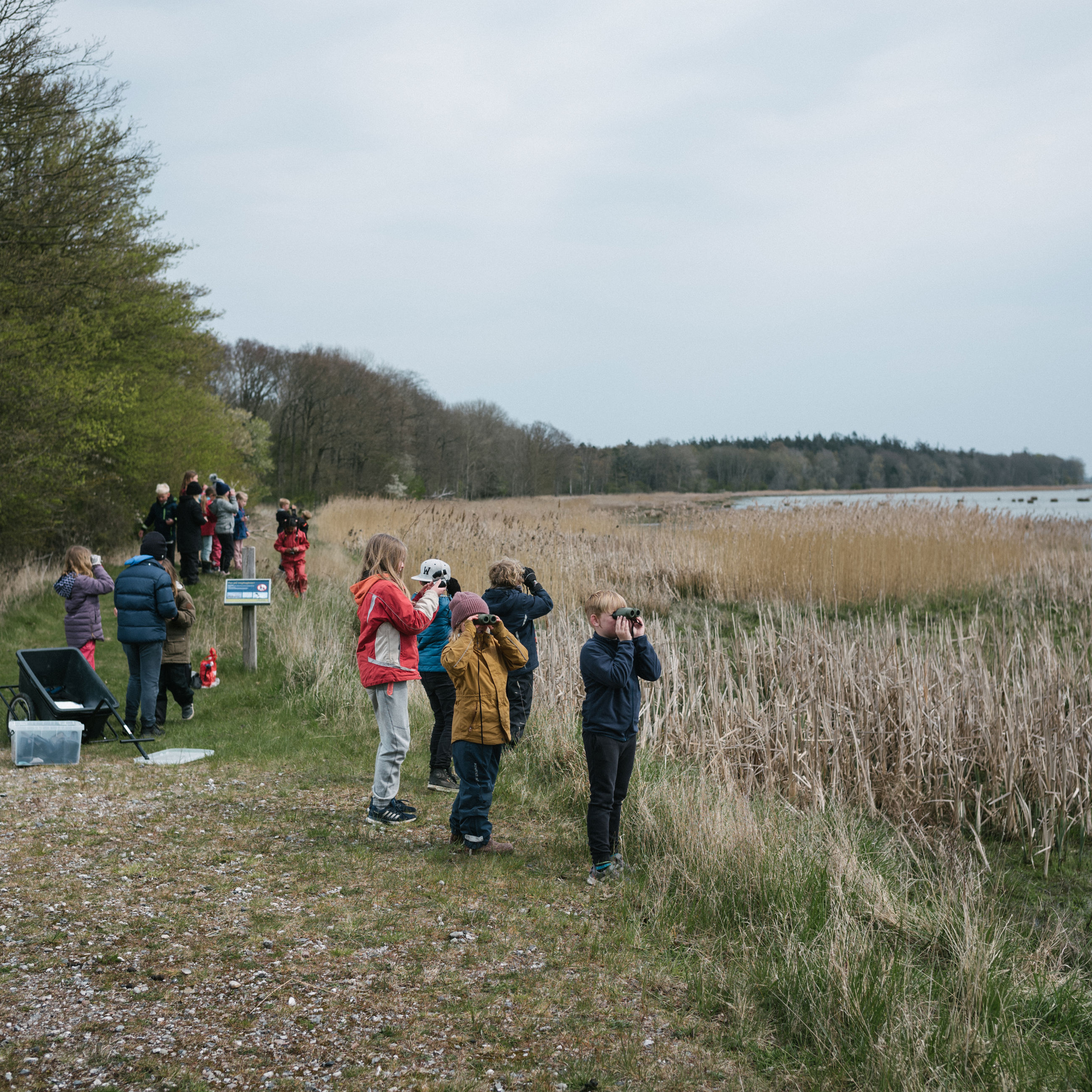 Skoleklasse på udflugt ved naturområdet Gyldensteen Strand.