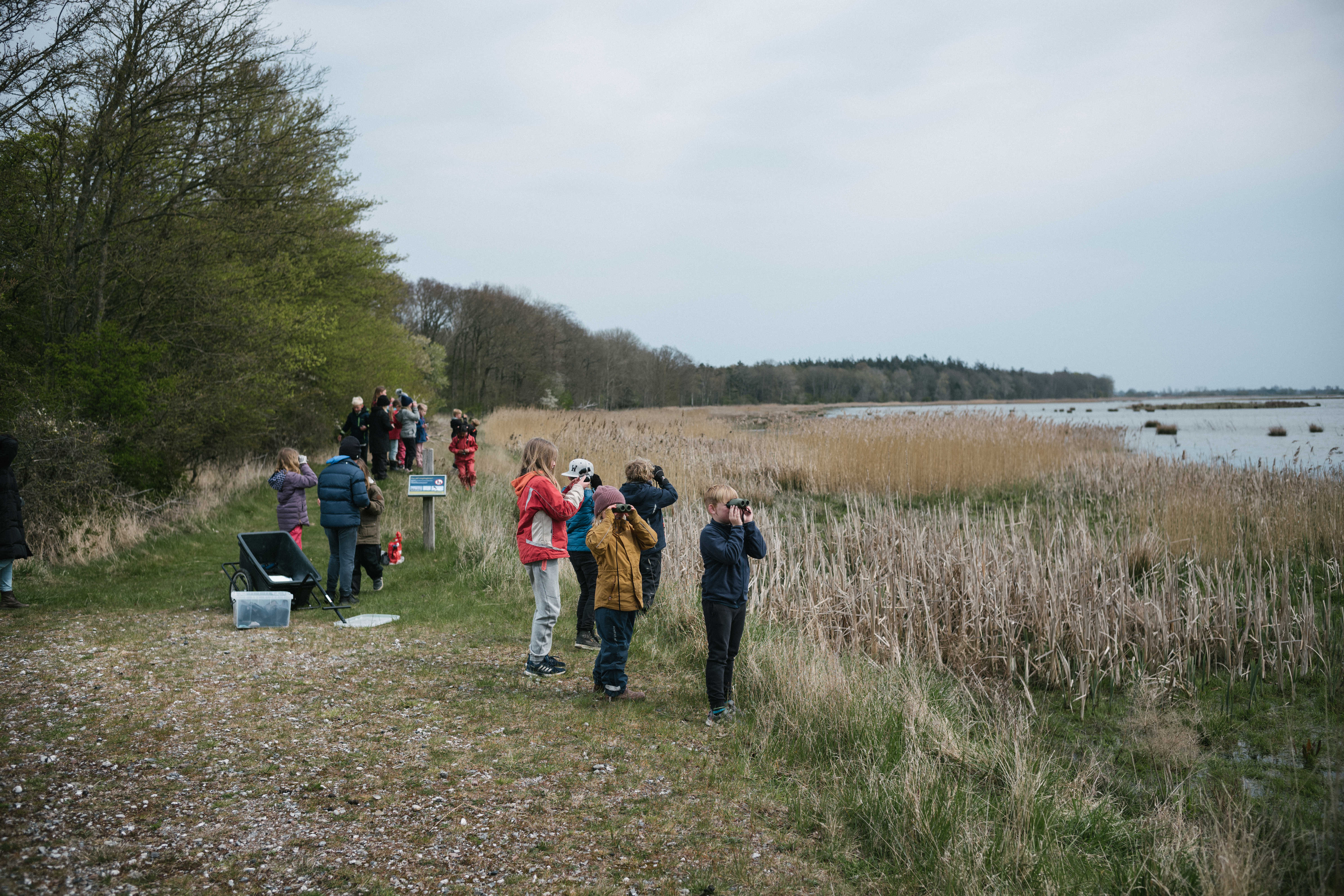 Skoleklasse på udflugt ved naturområdet Gyldensteen Strand.