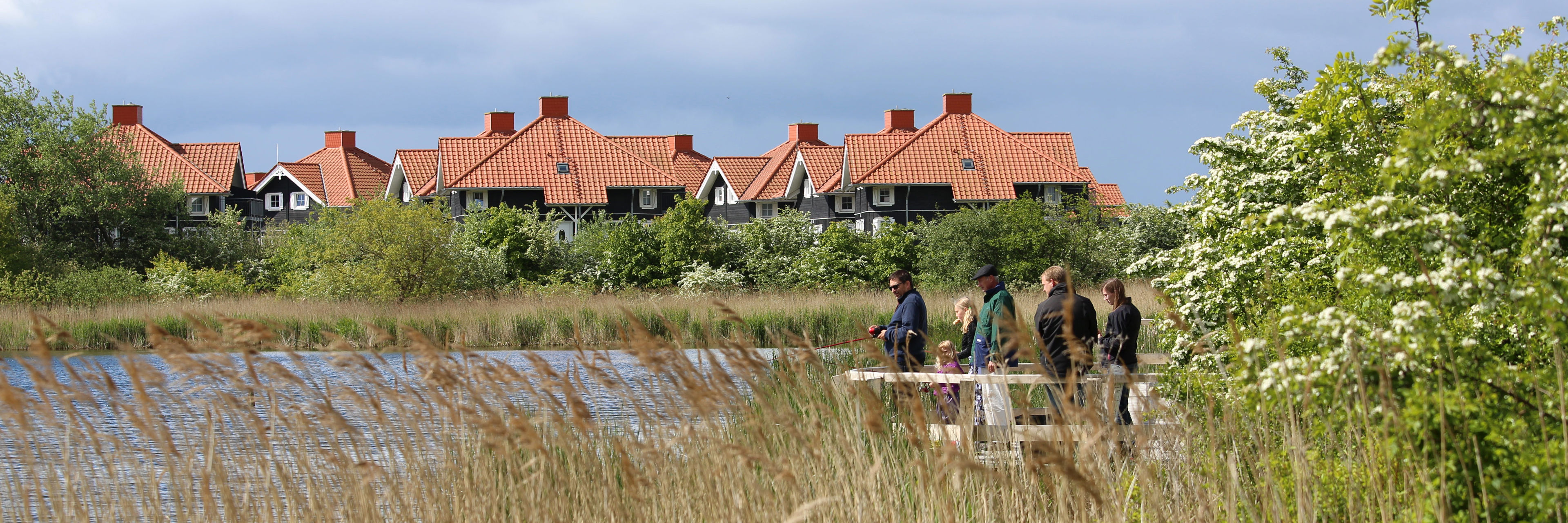 Billede af Barfods Dam i Bogense, hvor der blandt andet kan fiskes.