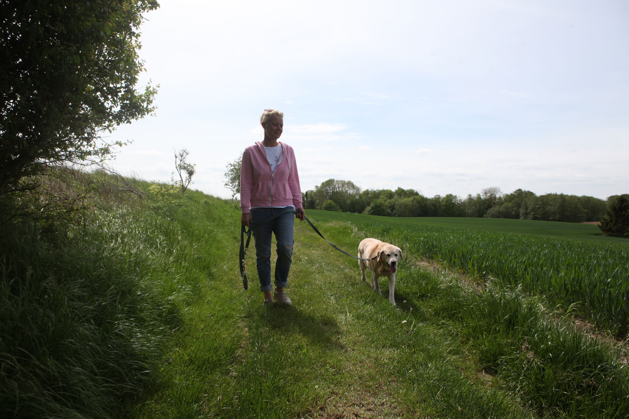 Kvinde, der lufter hund.