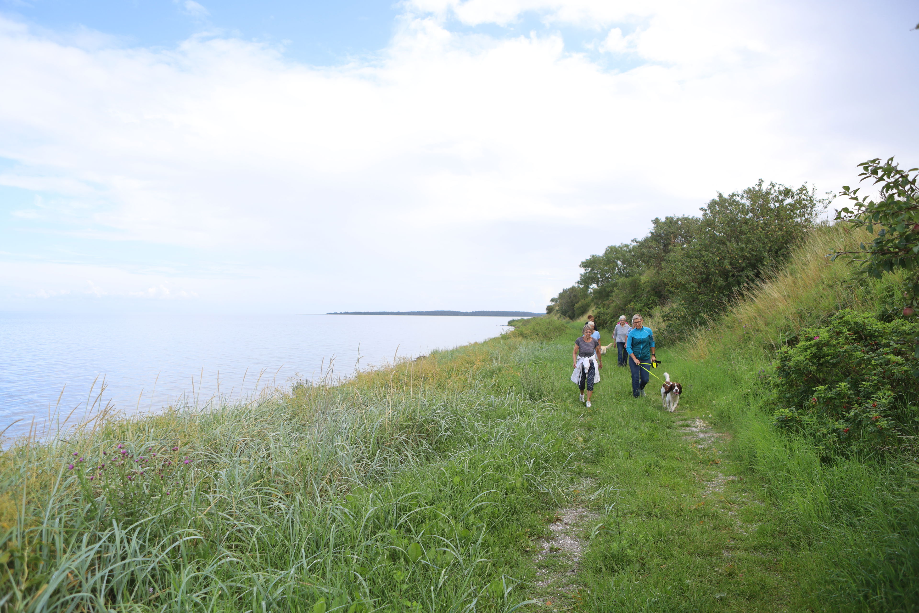 Lokale på gåtur ved Nørreby Hals på Nordfyn