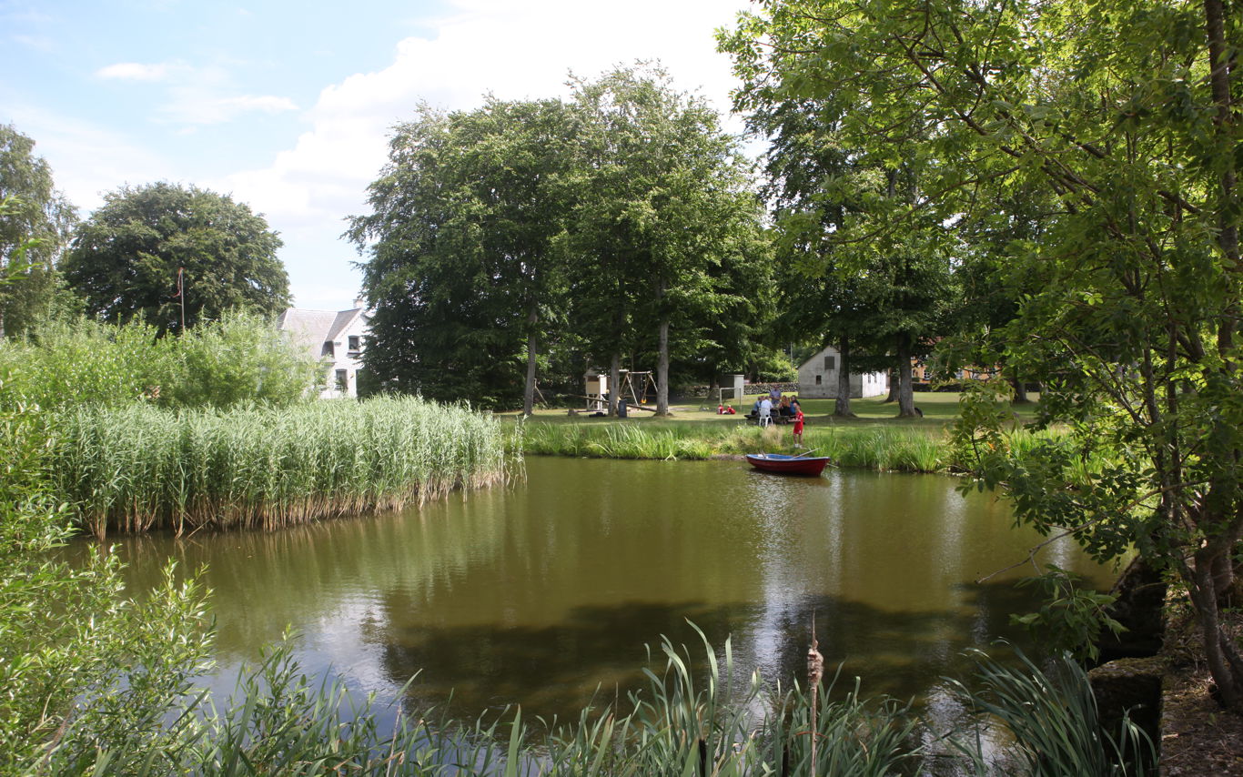Gadekæret i lokalområdet Jullerup-Melby.