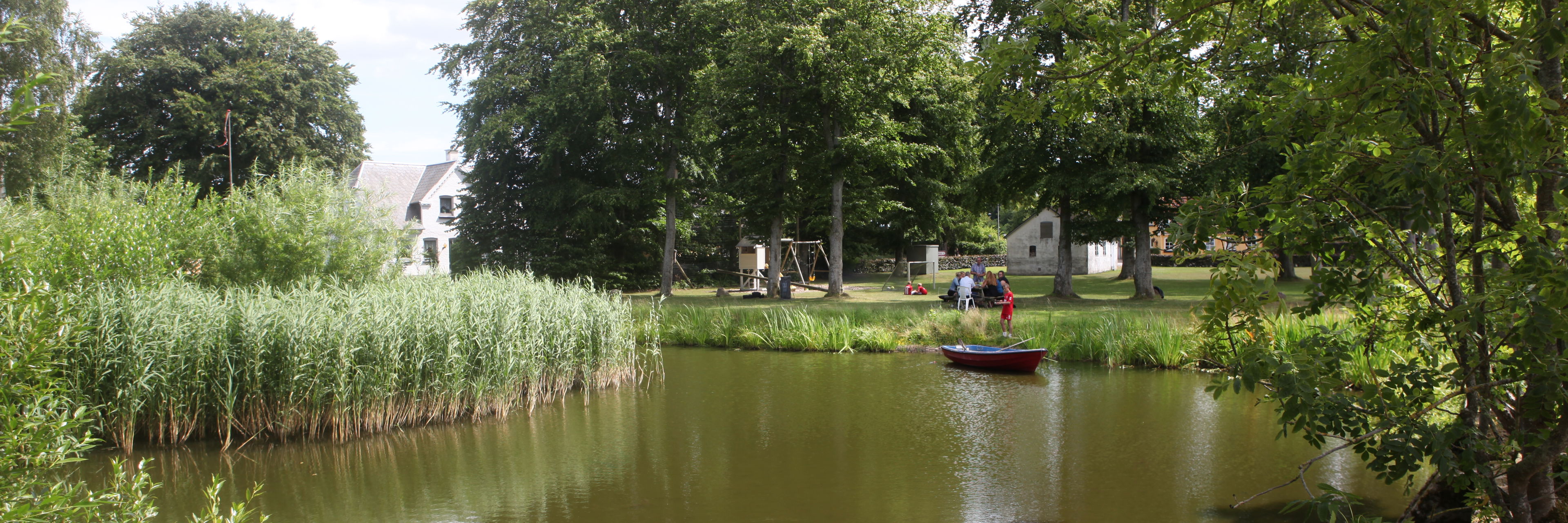 Gadekæret i lokalområdet Jullerup-Melby.