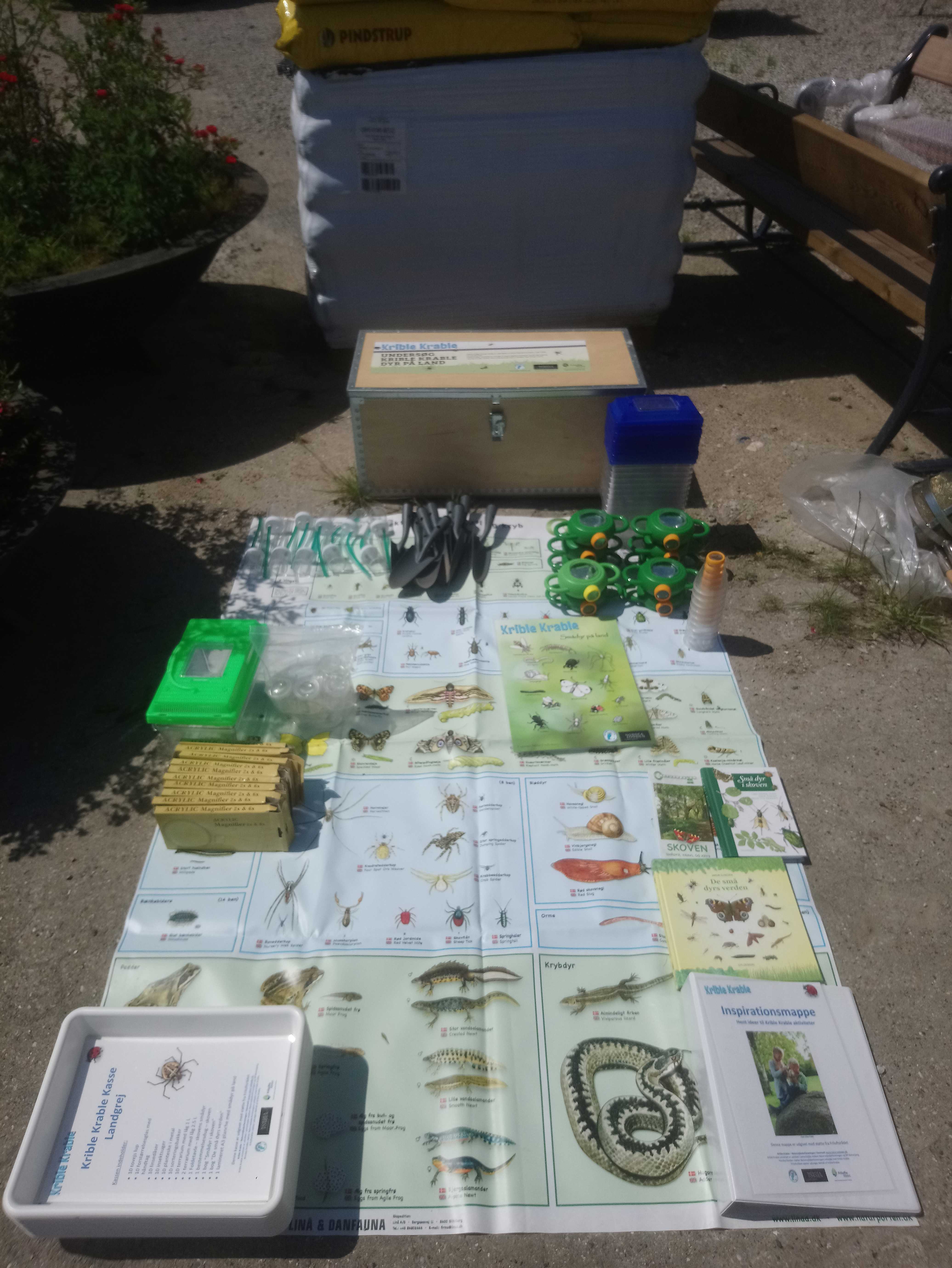 Kriblekrablekasse med med udstyr til at kigge på dyr og insekter