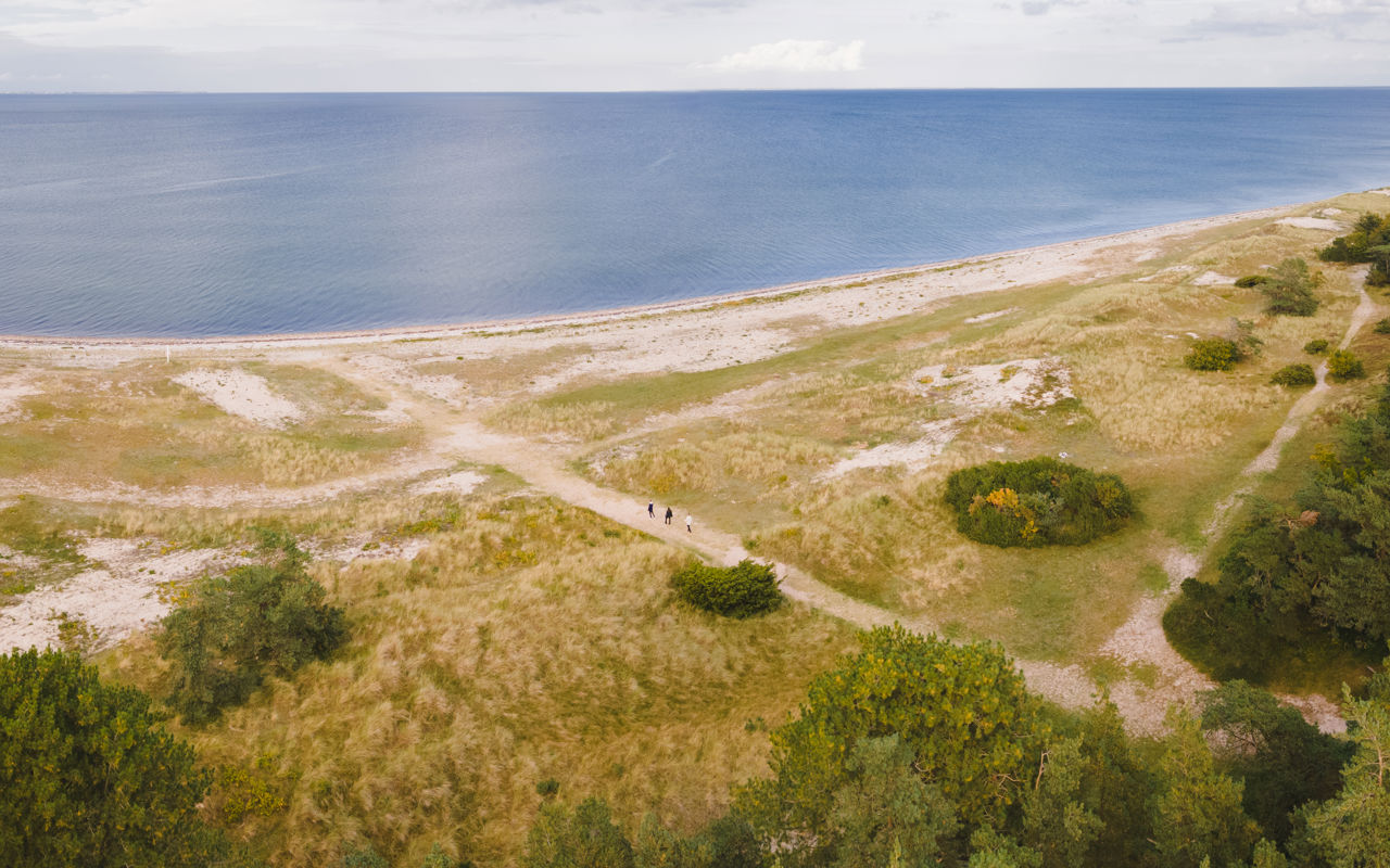 Dronebillede fra Flyvesandet, hvor kyst og skov møder hinanden.