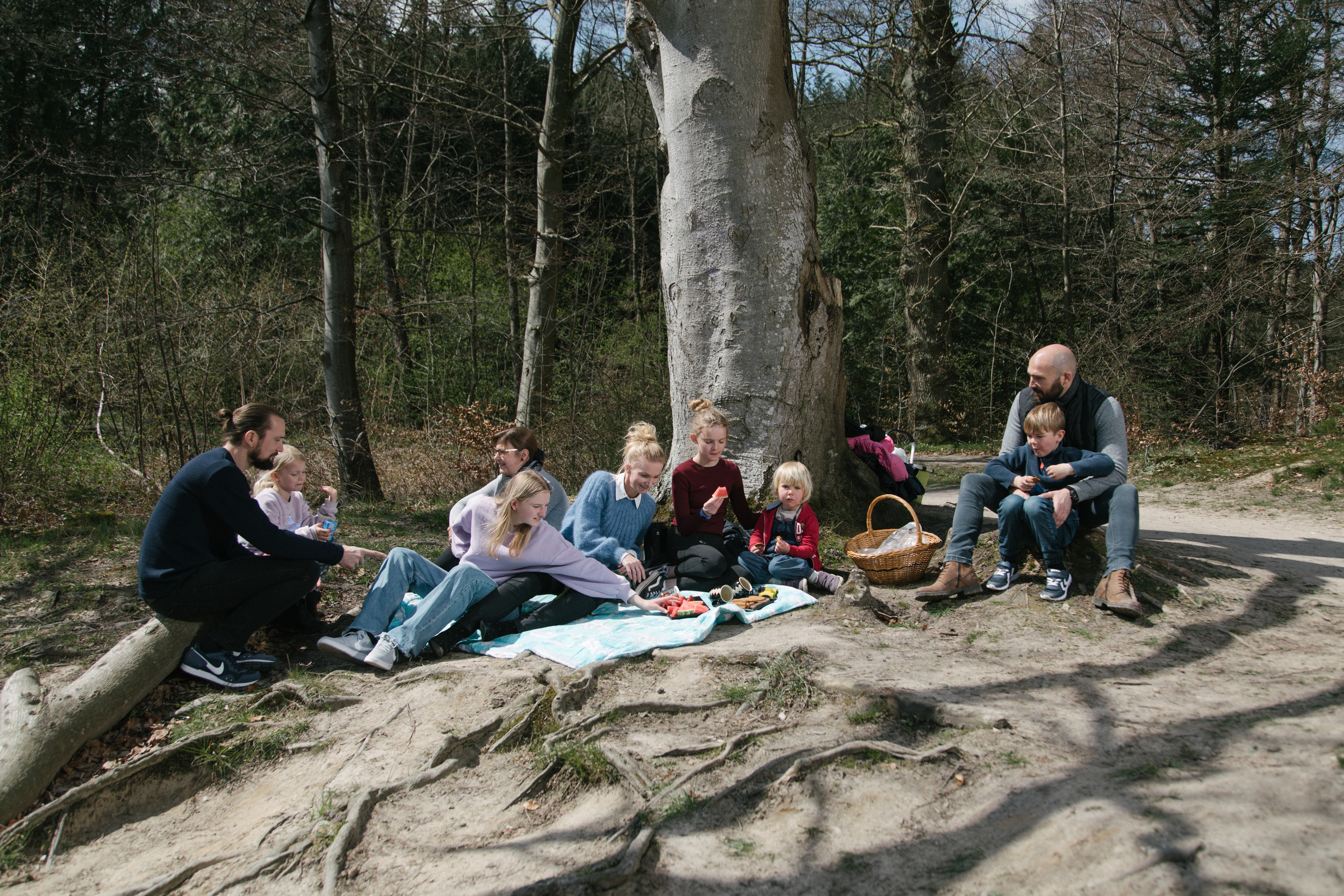 Familier, der spiser madpakker i en skov - Langesø ved Morud