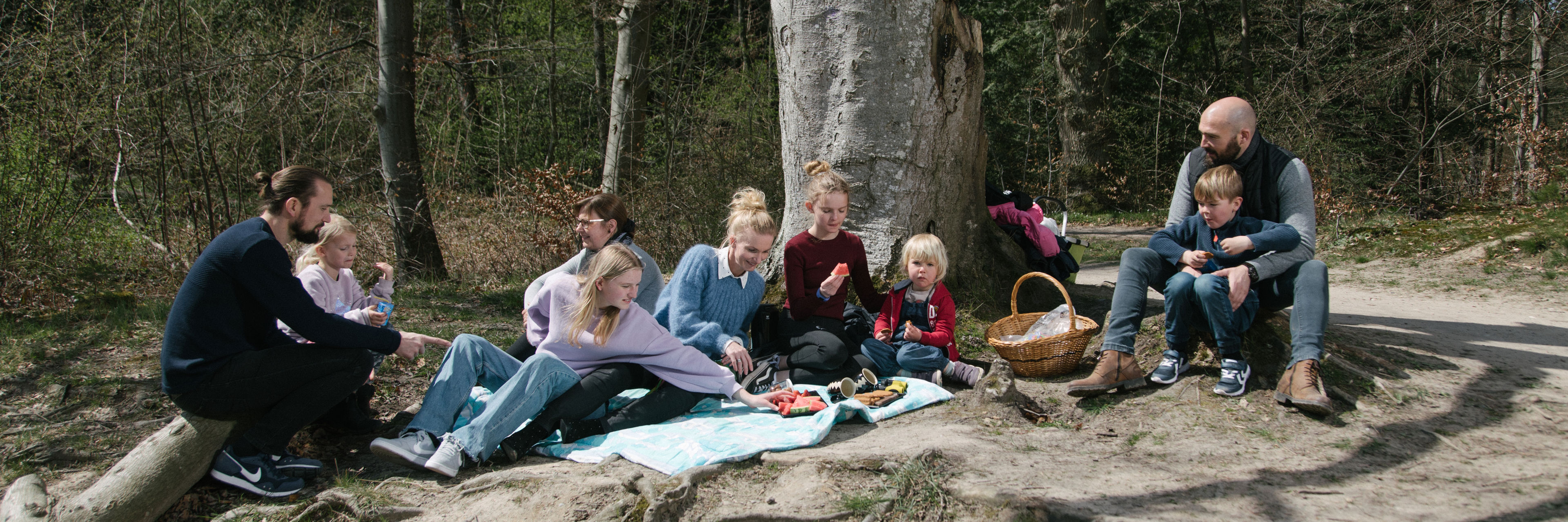 Familier, der spiser madpakker i en skov