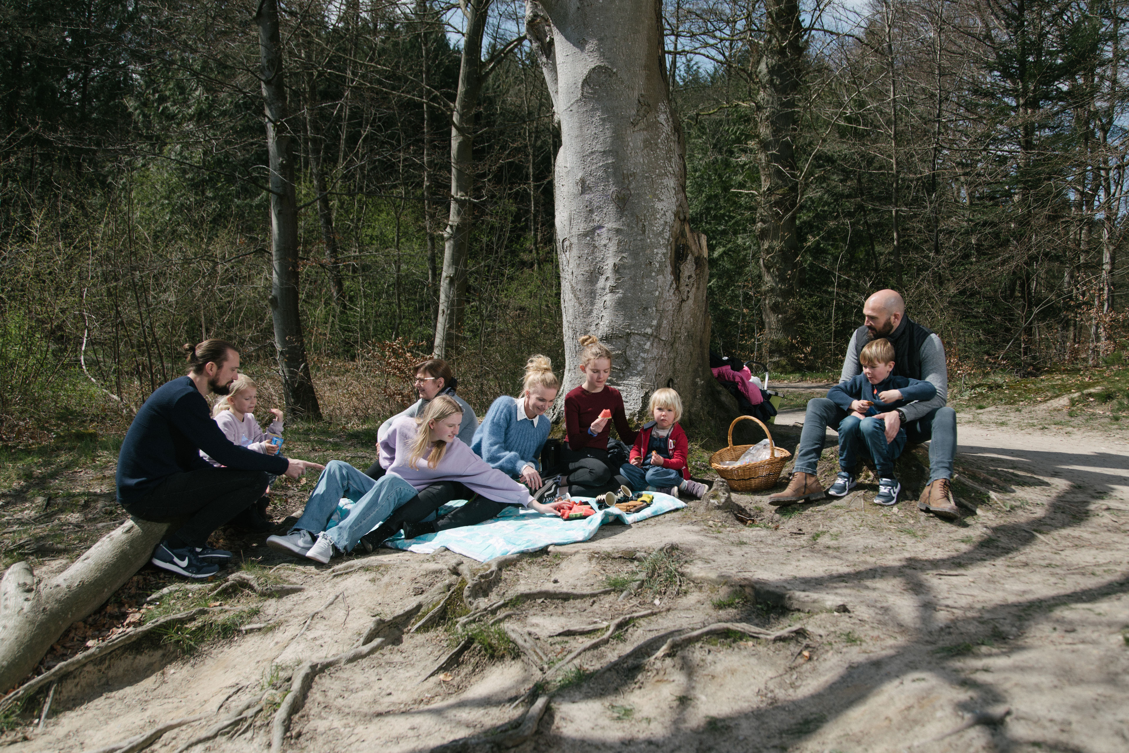 Familier, der spiser madpakker i en skov - Langesø ved Morud