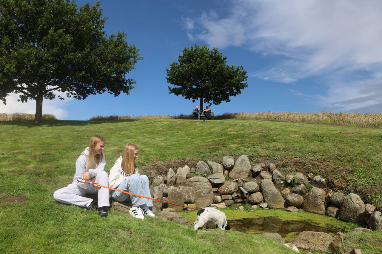 To piger med en hund på tur ved Skt. Olufs Kilde ved Klinte.