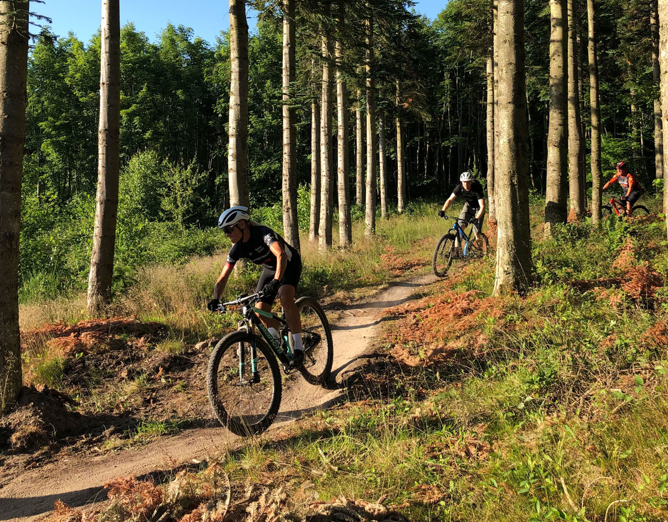 Flere personer på mountainbike-tur på MTB-ruterne i Langesøskoven nær Morud.