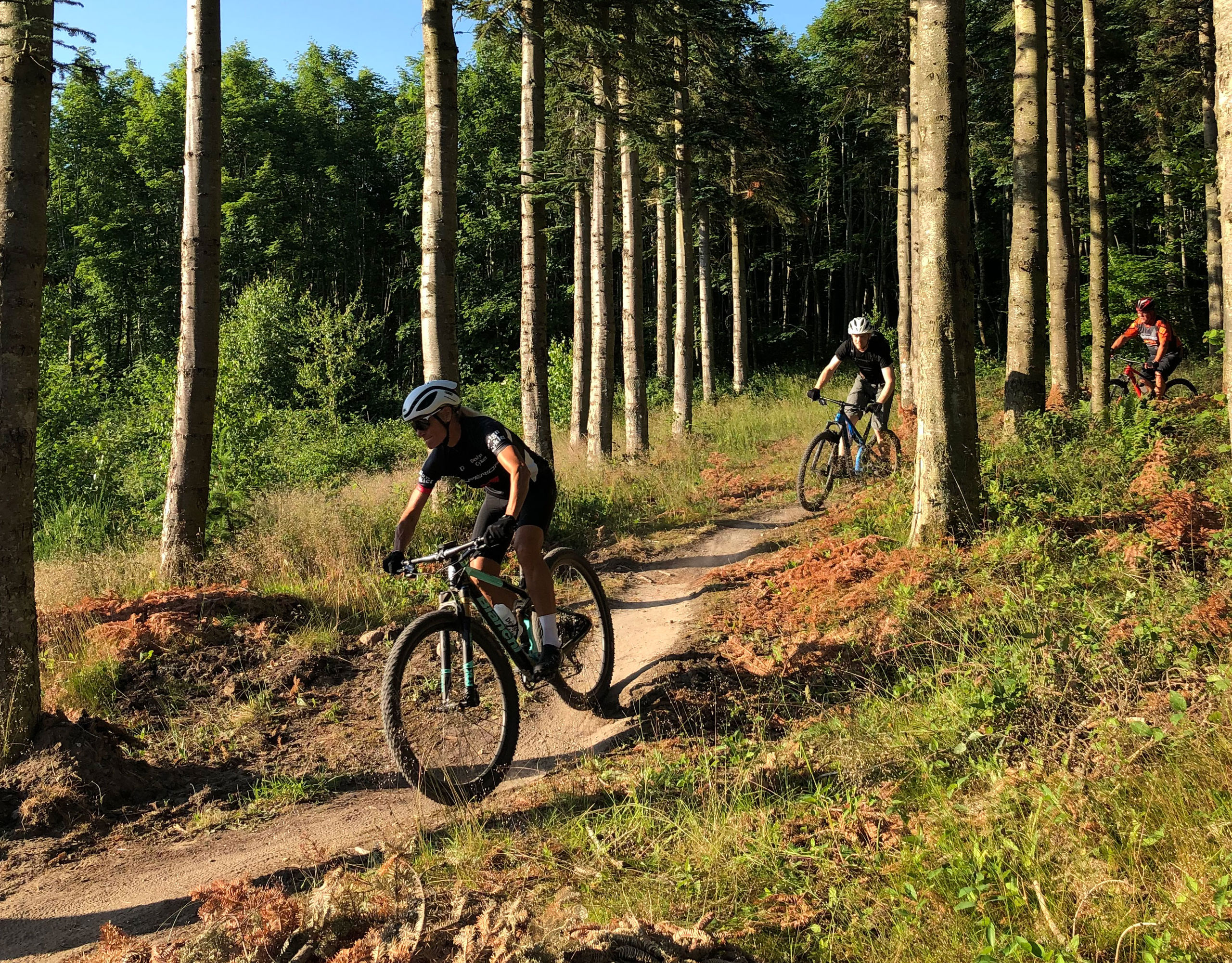 Flere personer på mountainbike-tur på MTB-ruterne i Langesøskoven nær Morud.