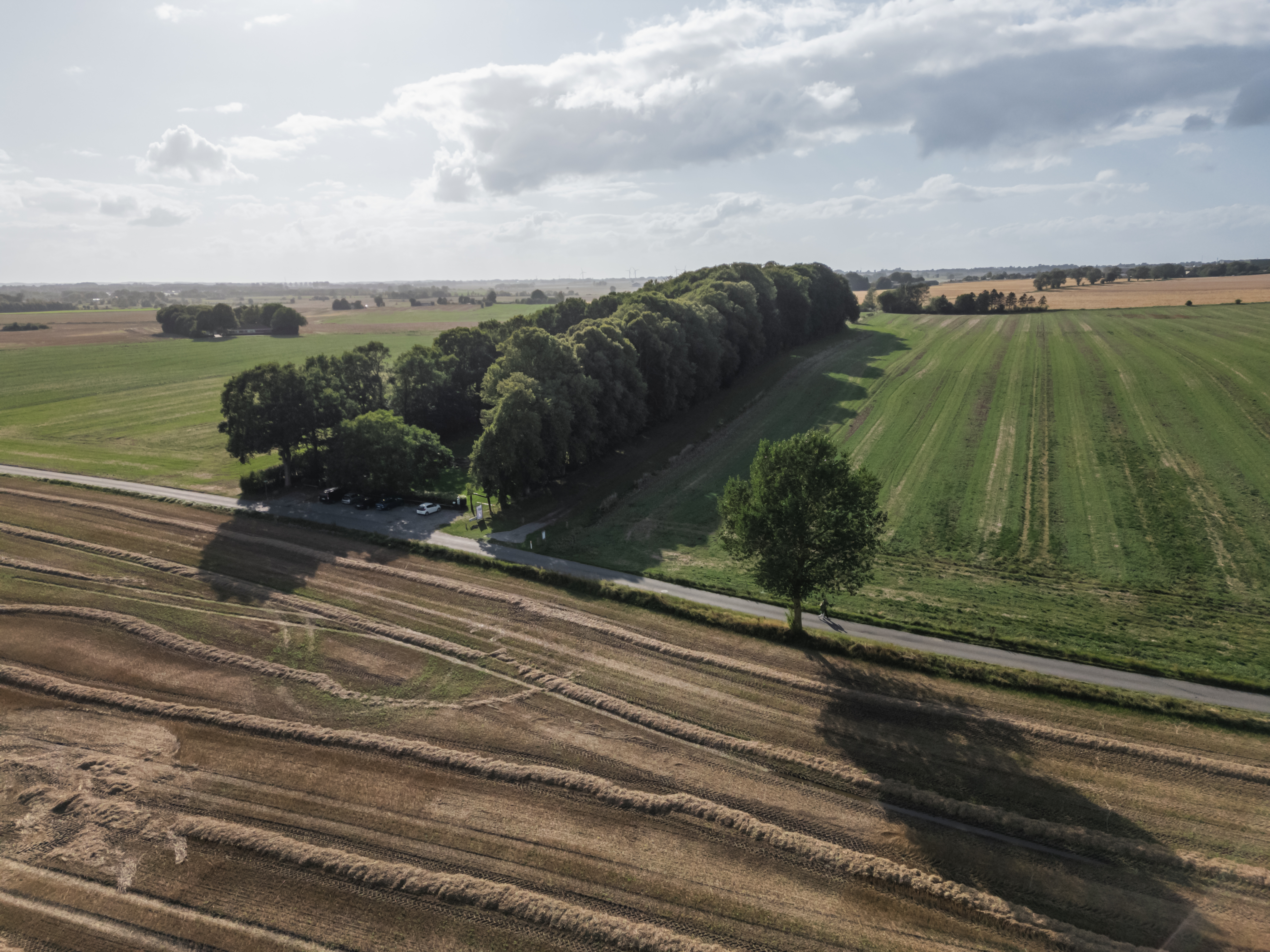 Dronebillede af Glavendruplunden på Nordfyn.