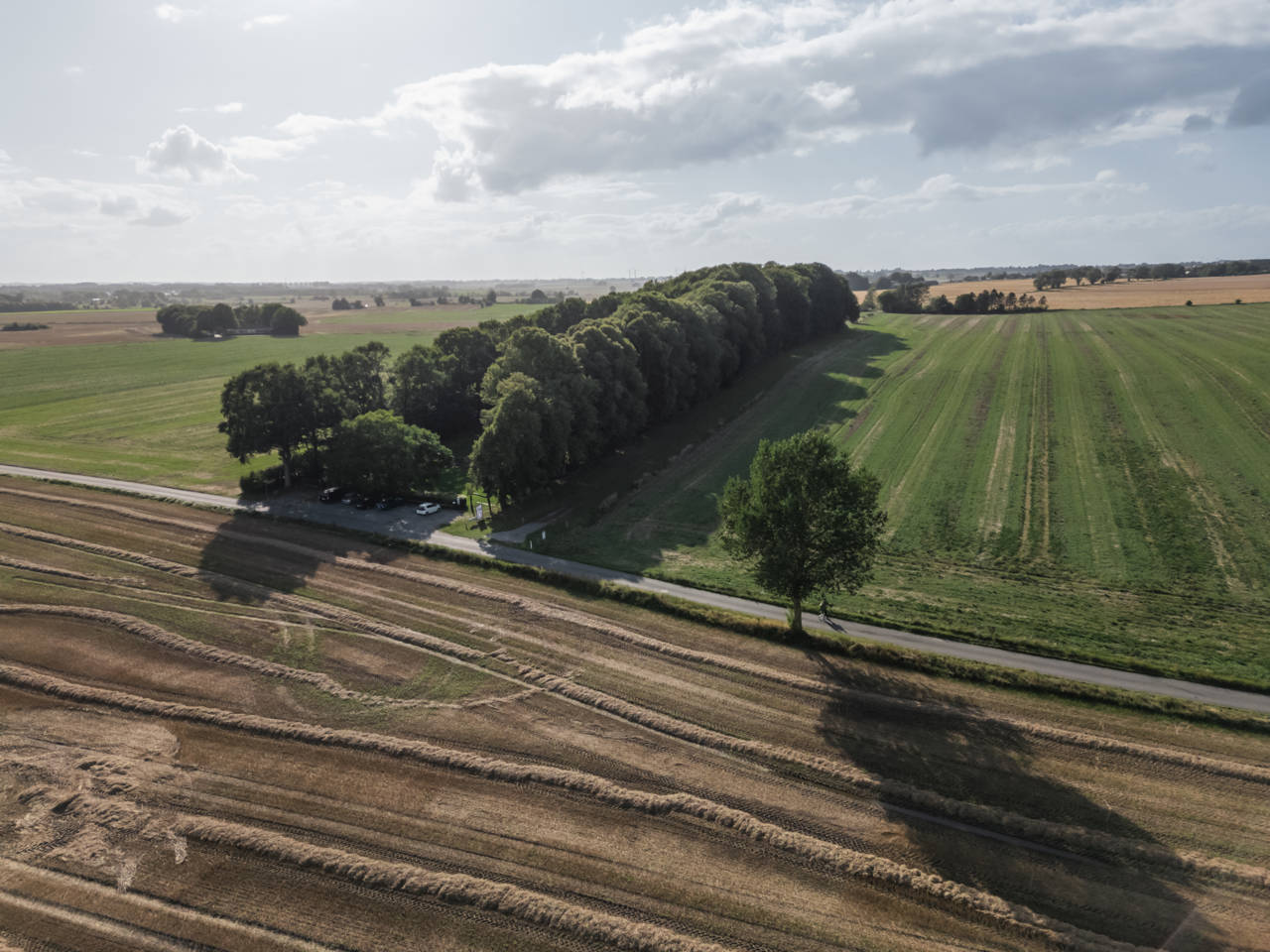 Dronebillede af Glavendruplunden på Nordfyn.