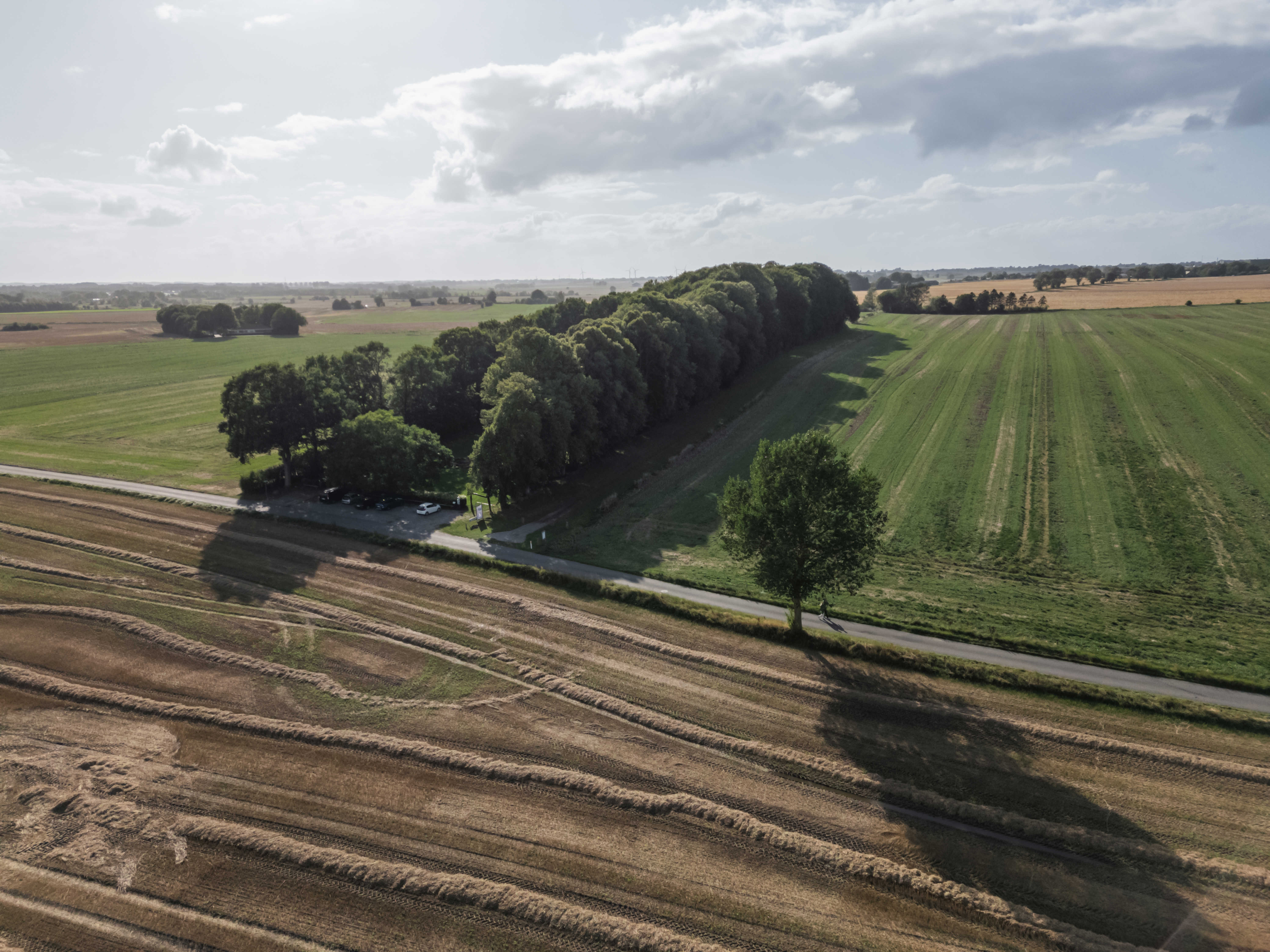 Dronebillede af Glavendruplunden på Nordfyn.